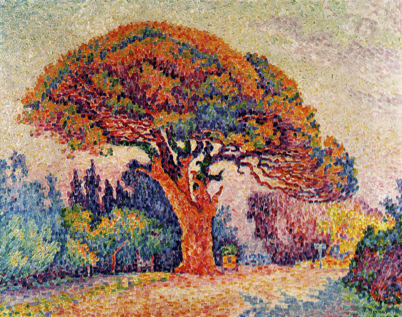205 THE PINE TREE. SAINT-TROPEZ. 1909