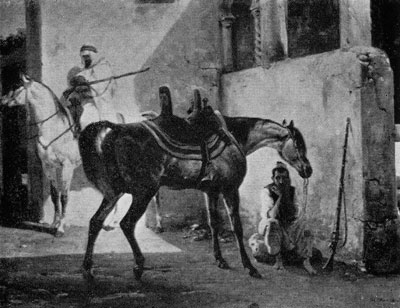 567 ARAB HORSE. 1835