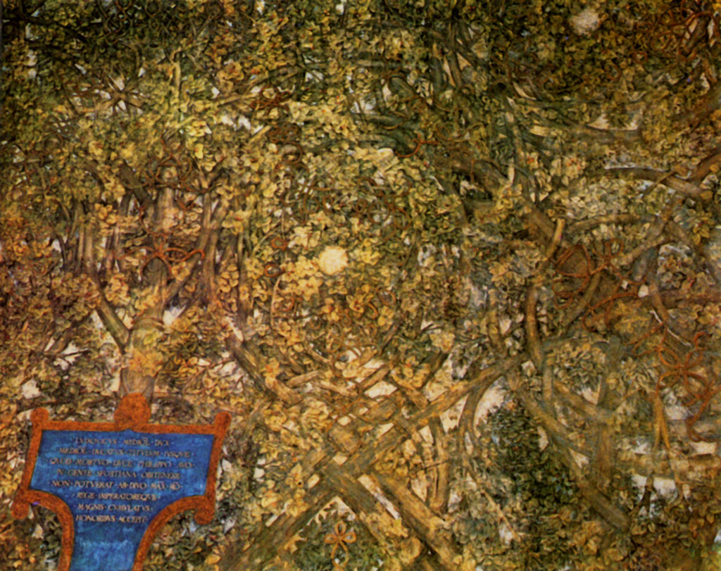 Леонардо да Винчи - Роспись зала в Асси